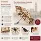 Royal Guard Automatic Folding Umbrella – UPF 50+ British London Design