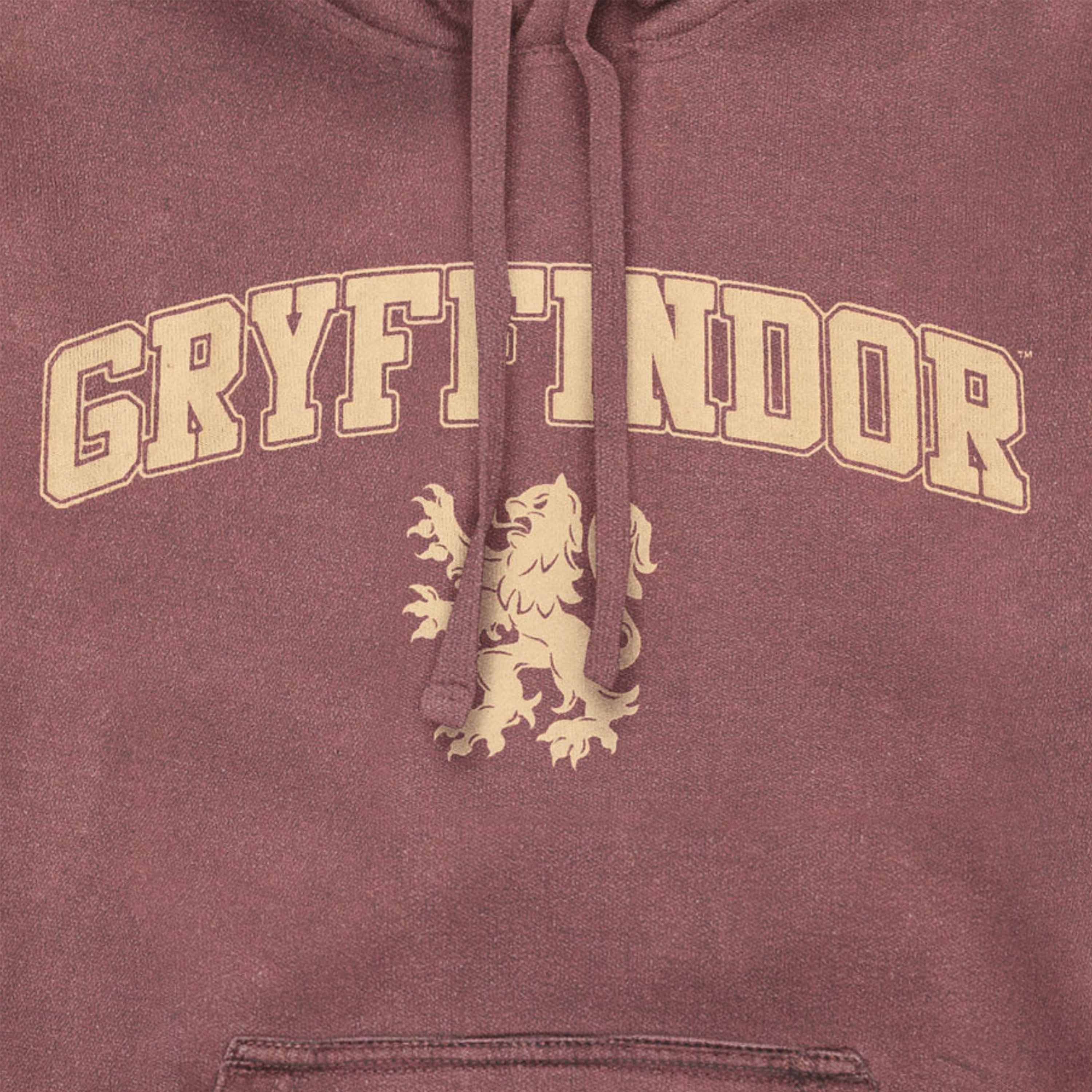 Gryffindor hoodie on sale