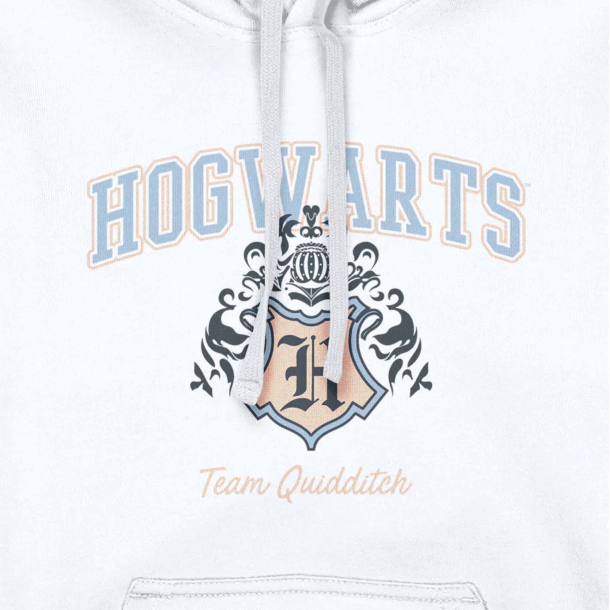 Harry Potter Hogwarts Team Quidditch Adults Hoodie - Unisex - British Gifts and Hoodies