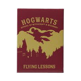 Hogwarts Flying Lessons Metal Magnet - Harry Potter Gifts & Merchandise