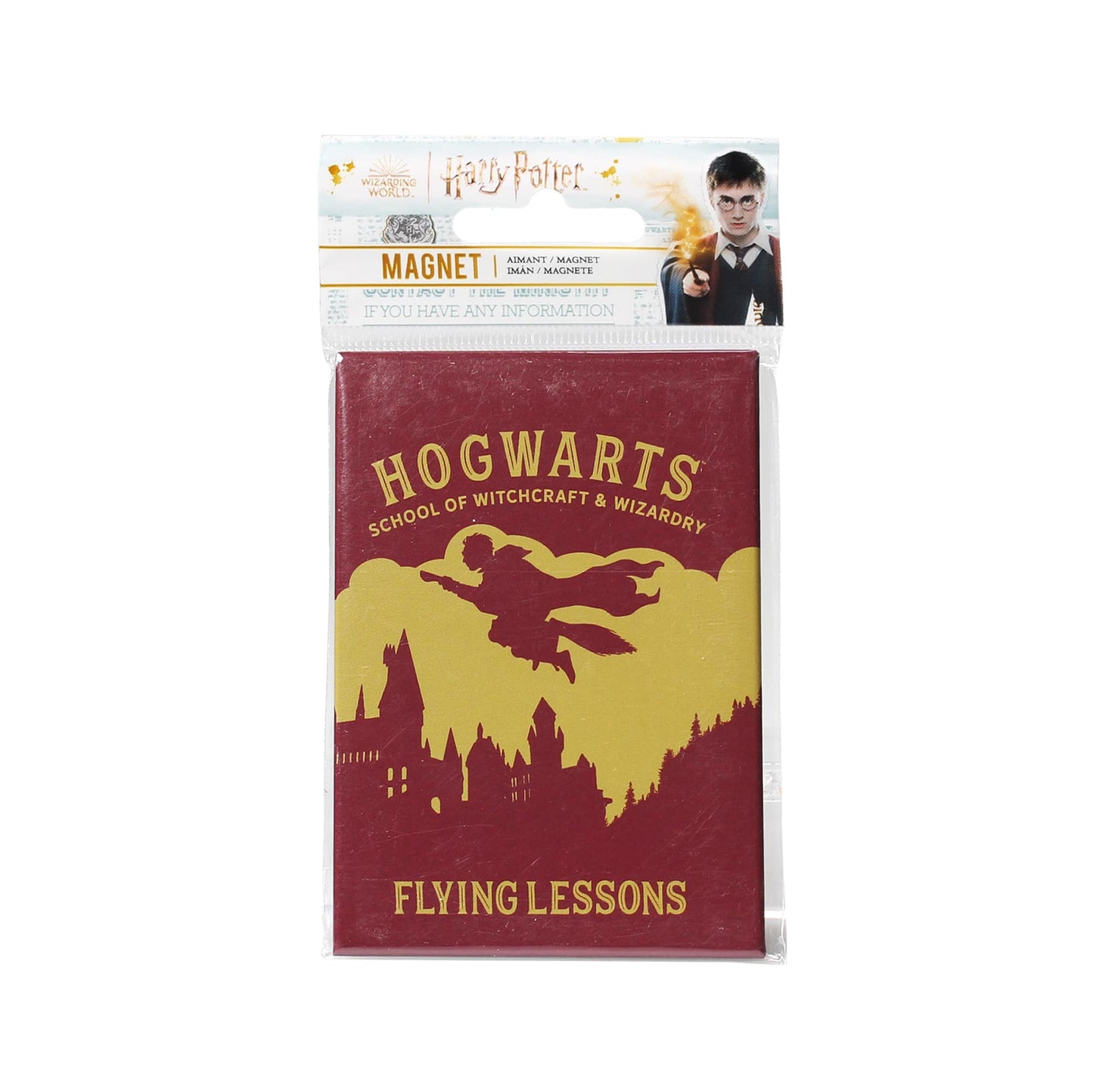 Hogwarts Flying Lessons Metal Magnet - Harry Potter