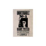 Undesirable No. 1 Magnet - Harry Potter Magnets