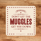 Muggles Coaster