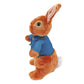 Peter Rabbit Soft Toy